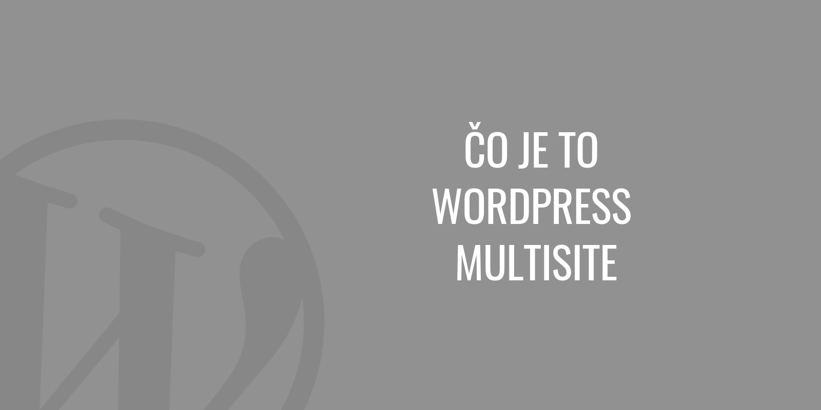 Co to jest WordPress multisite